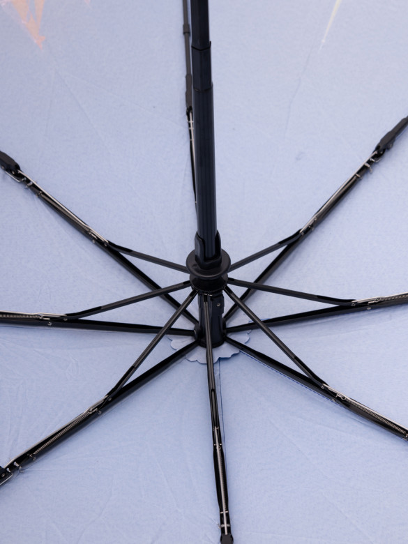 Зонт женский 132 Сердце Питера Зонт женский 132 Сердце Питера