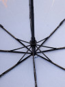 Зонт женский 132 Сердце Питера Зонт женский 132 Сердце Питера