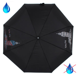 Зонт женский FLIORAJ, 210802 черный