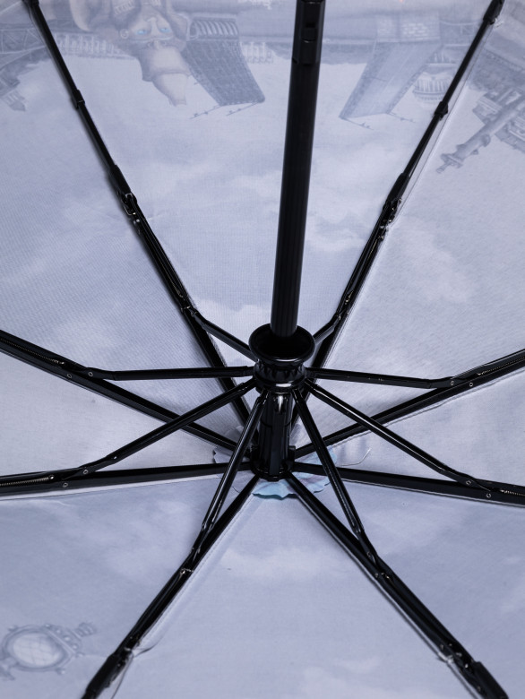 Зонт женский с/а 236 ангел и кошки