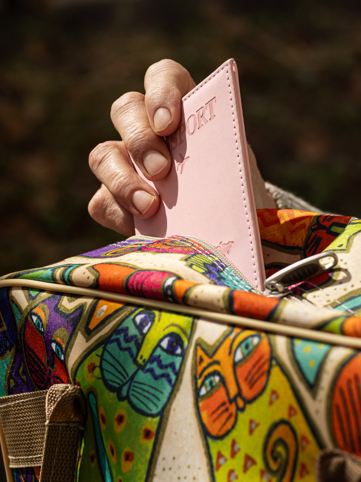 Сумка дорожная Voyage 204 кошки