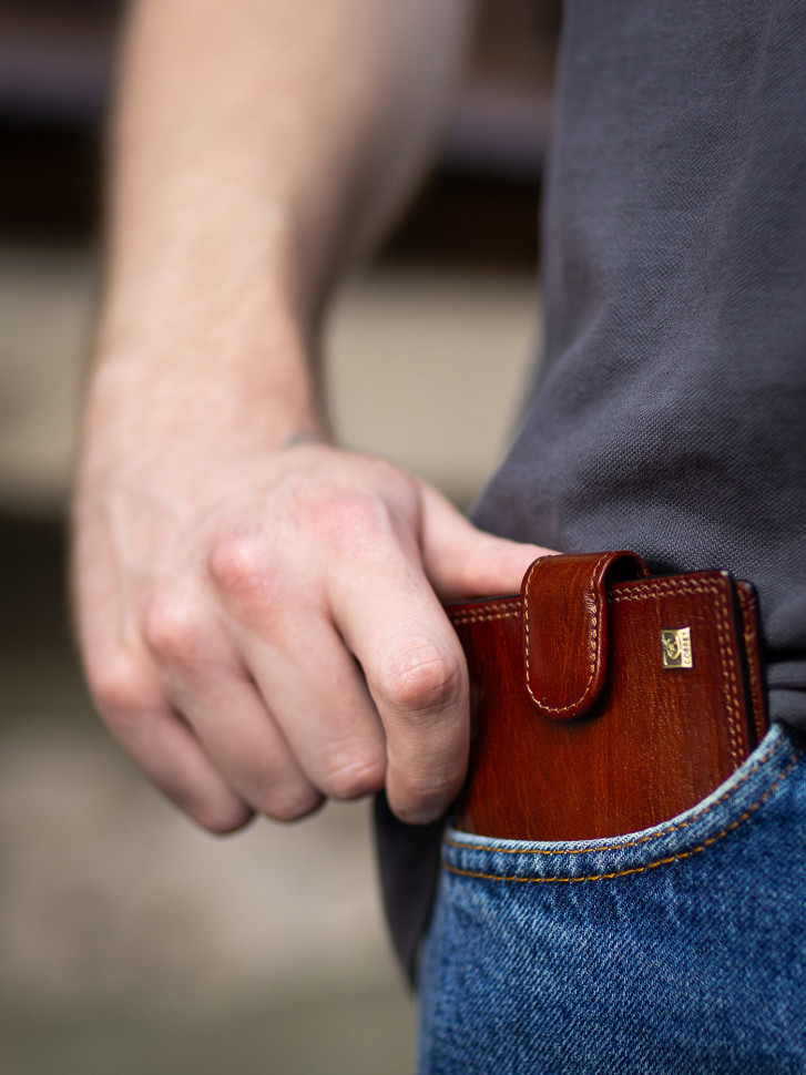 Портмоне мужское Cosset F14-327-089b коричневое Портмоне мужское Cosset F14-327-089b коричневое