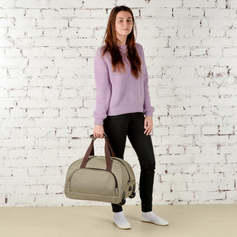 Сумка дорожная Voyage 6-293 кошки Сумка дорожная Voyage 6-293 кошки