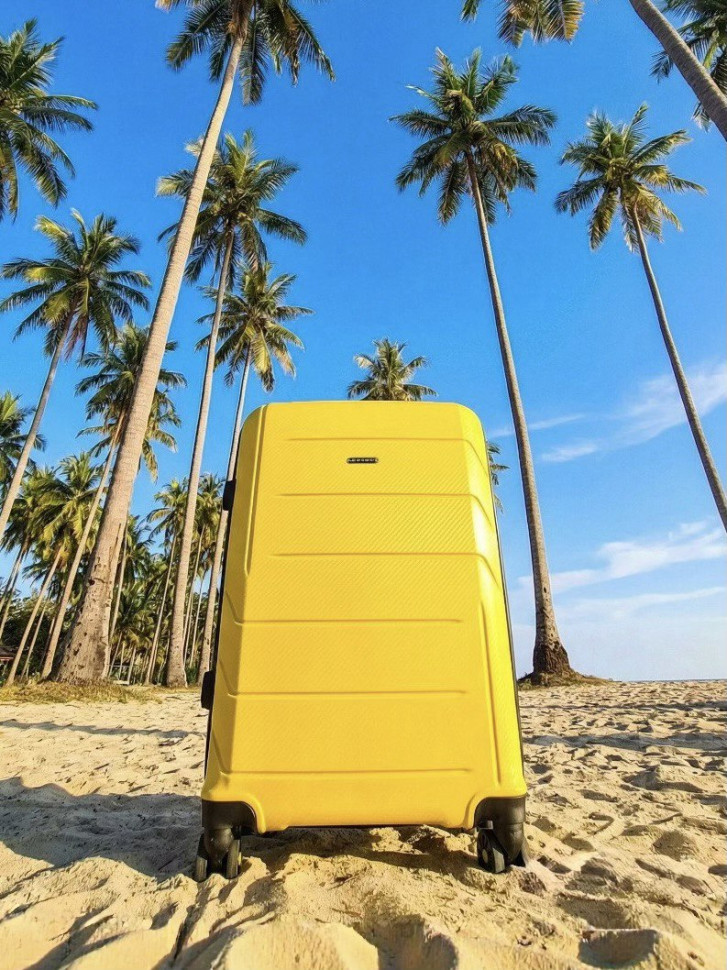 Чемодан RION+ 462 24" Чемодан RION+ 462 24"